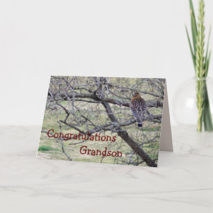 Carte Félicitations à Hawk - customisez toute occasion