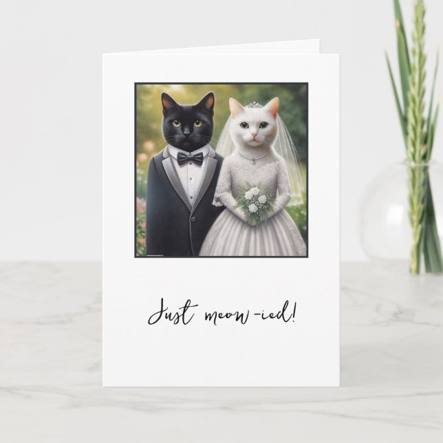 Carte Félicitations à la mariée de chat et à la chambre (Devant)