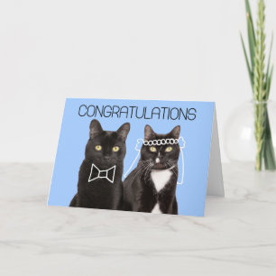 Carte Félicitations à votre Mariage mignon couple chat