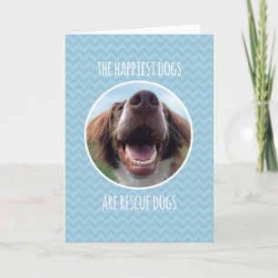Carte Félicitations, adoptant le chien de délivrance,