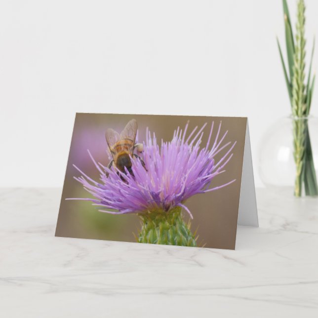 Carte Félicitations Bee sur Purple Thistle Photo Custom (Devant)