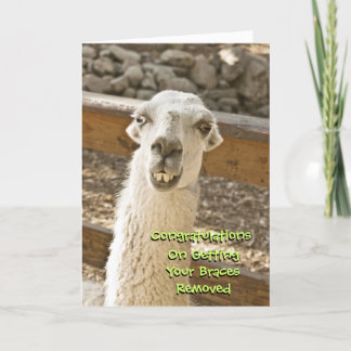 Carte Félicitations Braces Off Llama Card