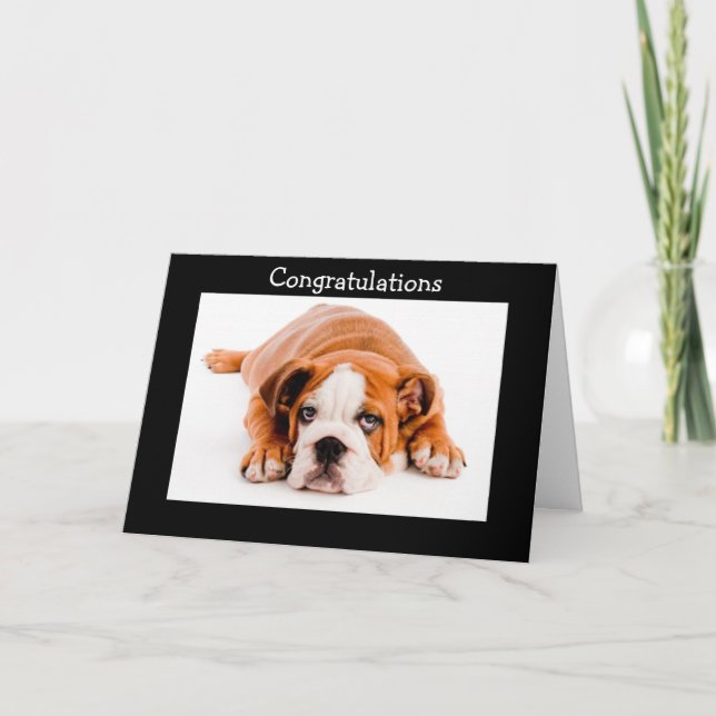 Carte Félicitations Bulldog Greeting Card (Devant)