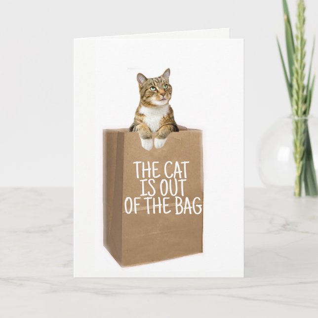 Carte FÉLICITATIONS (Chats Sortis Du Sac) (Devant)