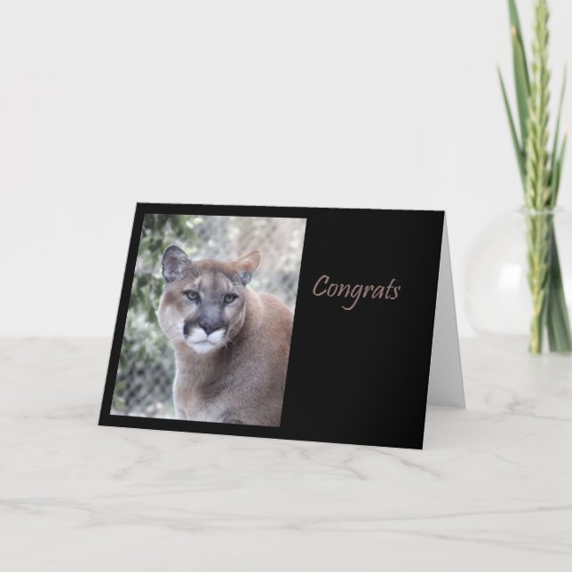 Carte Félicitations de puma (Devant)