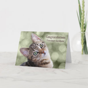 Carte Félicitations Diplômé vétérinaire Tabby Kitten