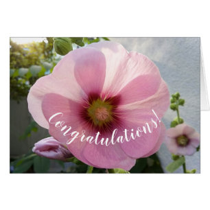 Carte Félicitations Fleurs Hollyhock Rose brillant