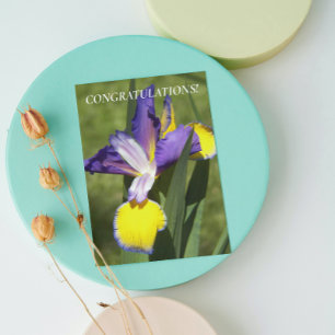 Carte Félicitations florales Iris violet et jaune