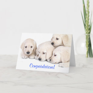 Carte Félicitations Labrador Retriever Puppies Card