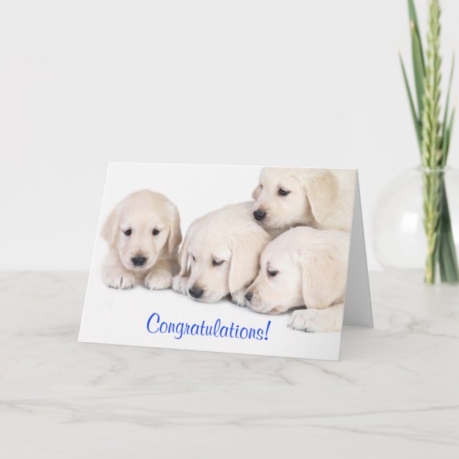 Carte Félicitations Labrador Retriever Puppies Card (Devant)