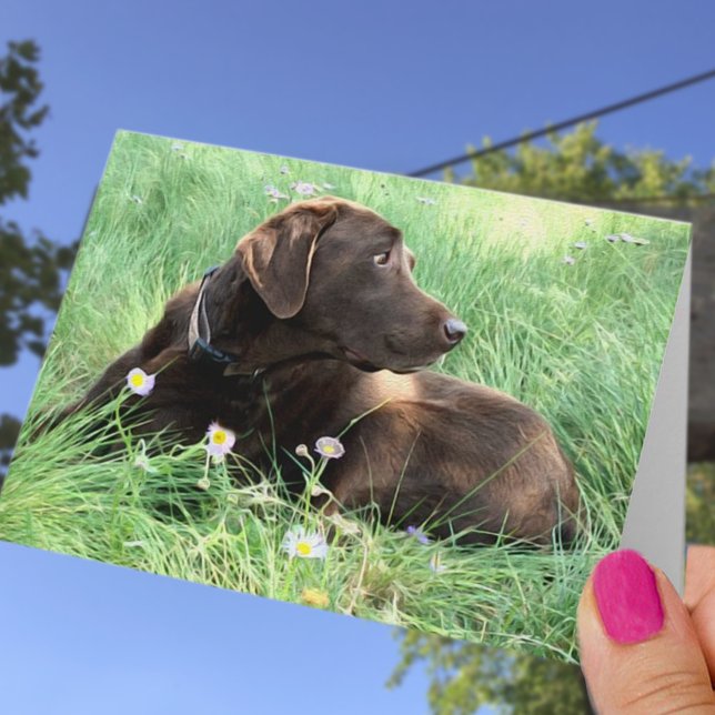 Carte Félicitations Labrador Retriever Thinking of You (Créateur téléchargé)
