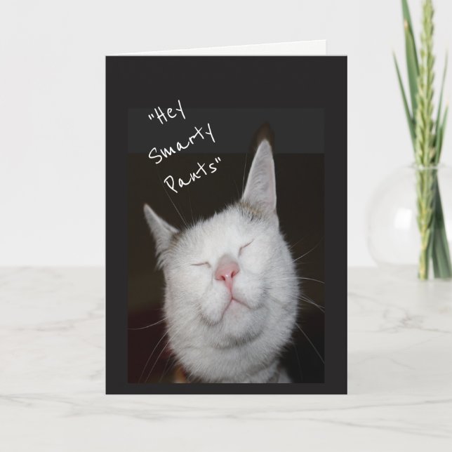 Carte Félicitations Nouveau Humour à domicile Kitten Ani (Devant)