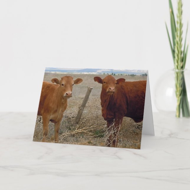Carte Félicitations pour l'anniversaire de la Bovine mig (Devant)