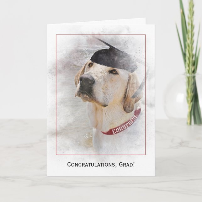 Carte félicitations pour le diplôme Labrador Retriever (Devant)