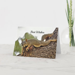 Carte Félicitations pour le mariage de l'arbre aux écure