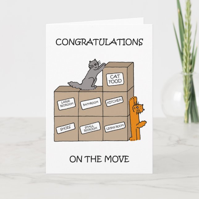 Carte Félicitations pour les nouveaux chats à la maison (Devant)