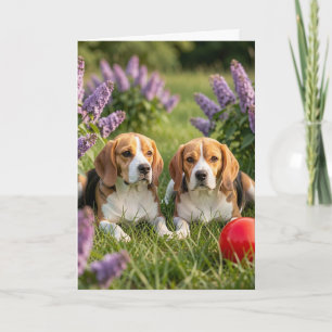 Carte Félicitations pour vos nouveaux Beagles Félicita