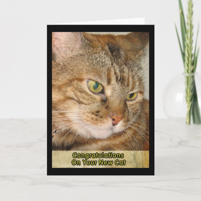 Carte Félicitations pour votre nouveau chat (Devant)