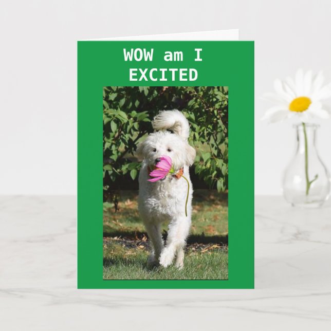 CARTE FÉLICITATIONS POUR VOTRE **PROMOTION** (Petite plante)