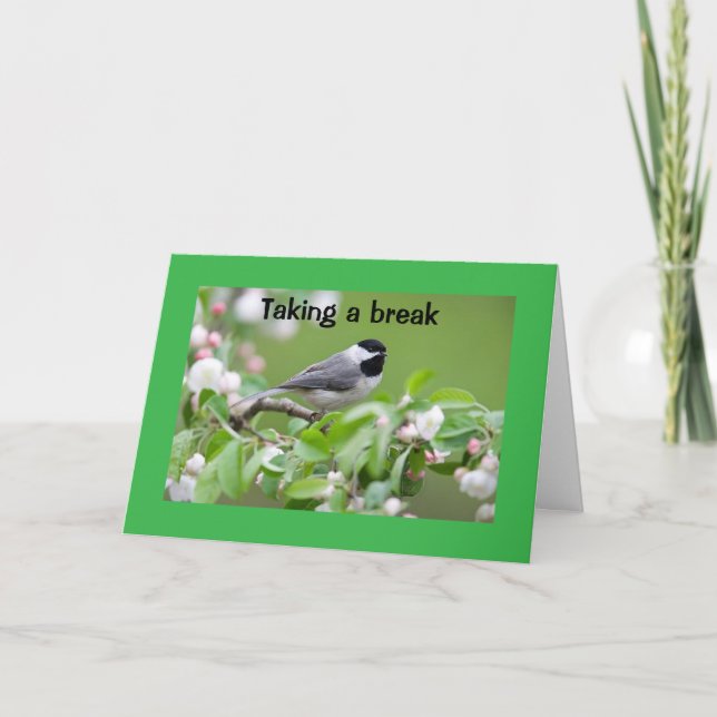 CARTE **FÉLICITATIONS POUR VOUS ! ! ! ! !** (Devant)