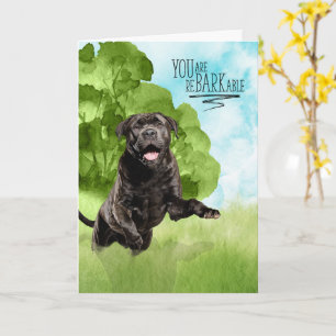 Carte Félicitations reBARKable Chien Cane Corso