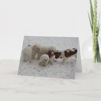 Carte Félicitations sur le nouveau travail