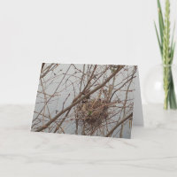 Félicitations vides de nid