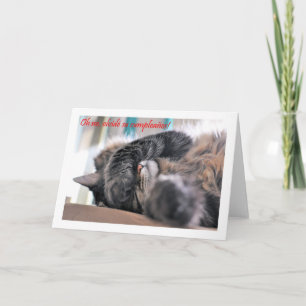 Carte Feliz Cumpleaños espagnol Anniversaire avec chaton