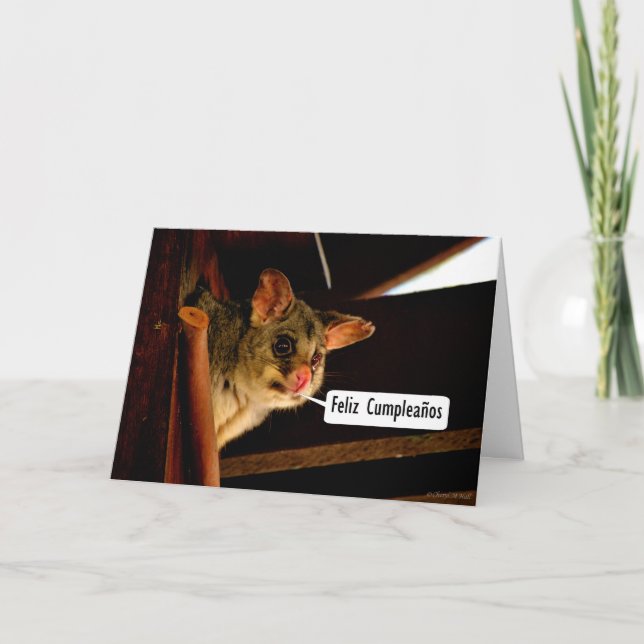 Carte Feliz Cumpleaños espagnol Anniversaire avec possum (Devant)