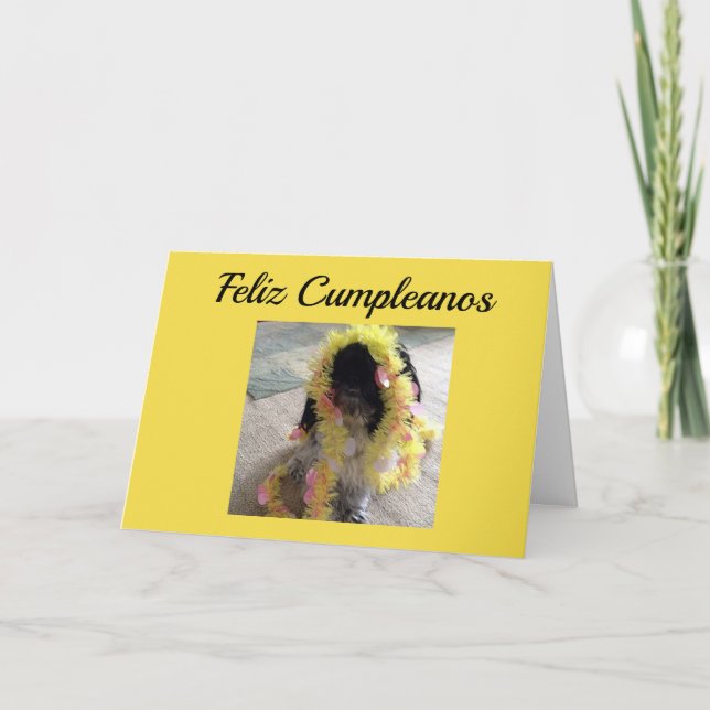 CARTE **FELIZ CUMPLEANOS**-HEUREUX ANNIVERSAIRE ESPAGNOL (Devant)