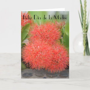 Carte Feliz Dia de la Madre 18