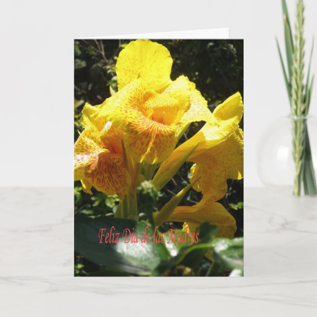 Carte feliz dia de las madres (Devant)
