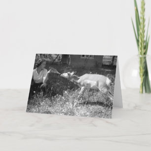 Carte Femme allaitant une antilope