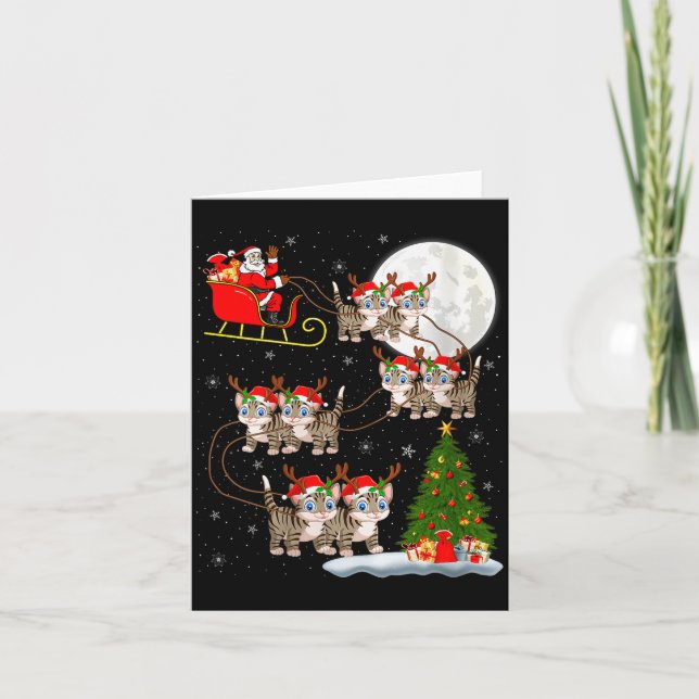 Carte Femmes Chats Père Noël Traîneau Volant Drôle Magiq (Devant)