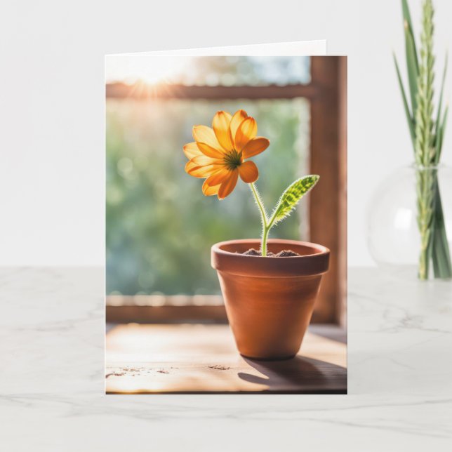 Carte Fenêtre Avec Orange Daisy Penser De Vous (Devant)