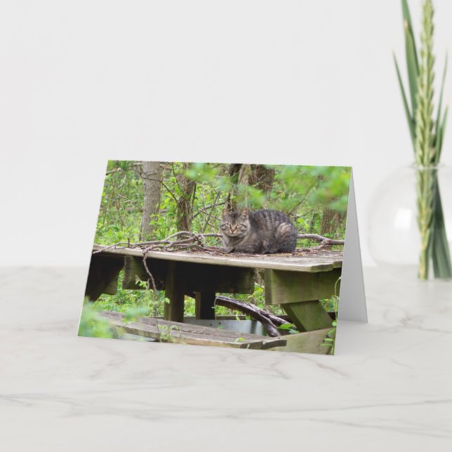Carte Feral Cat in Woods Grey Card (Devant)