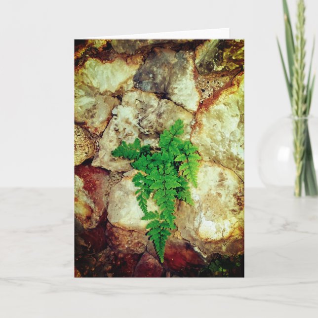 Carte Fern et Geodes Toutes les Occasions (Devant)