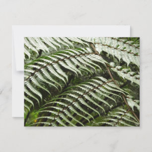 Carte Fern Fronds II Dark Green Nature