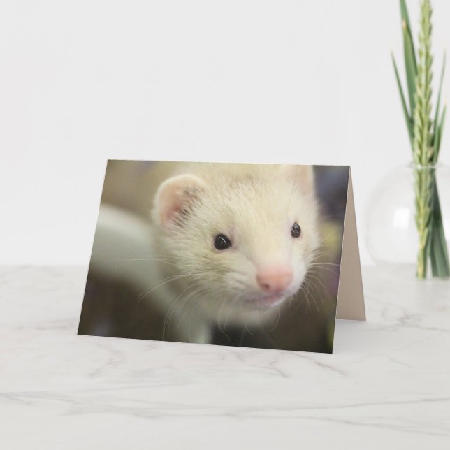 Carte Ferret (Devant)