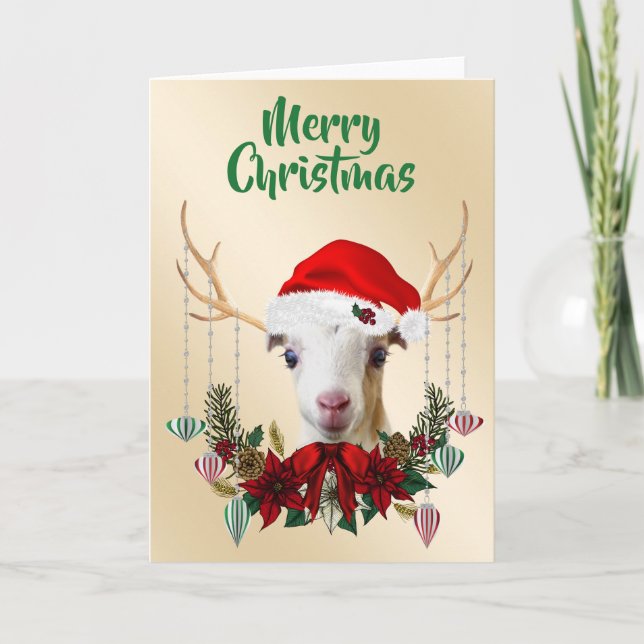 Carte Festif Noël LaMancha Goat Kid (Devant)