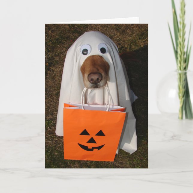 Carte Festins de Halloween avec le chien de fantôme et (Devant)