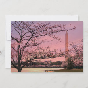 Carte Festival Cherry Blossom du Monument de Washington