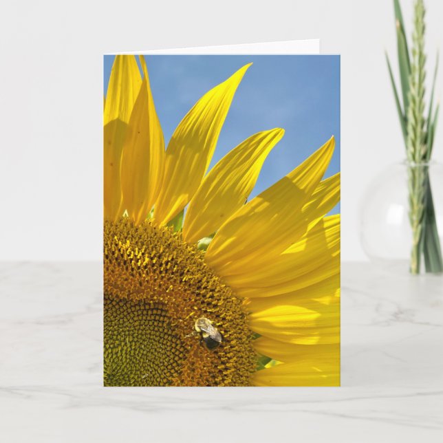 Carte Festival de tournesol - Salutation photo (Devant)