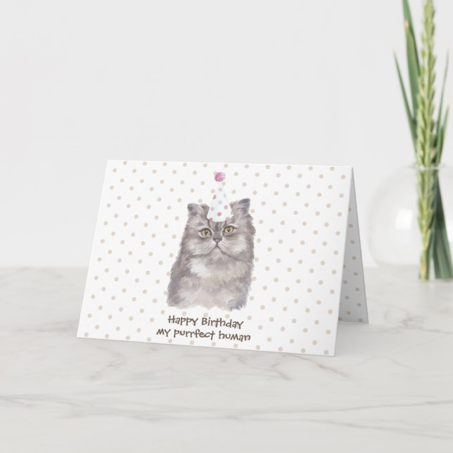 Carte Fête Casquette Persian Chat Anniversaire (Devant)