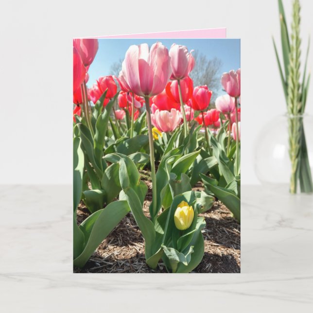 Carte Fête de la Mère - Maman et Tulipes Bébées (Devant)