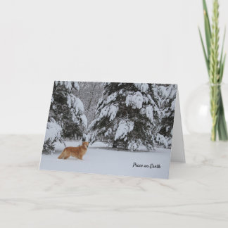 Carte Fête de la paix sur Terre