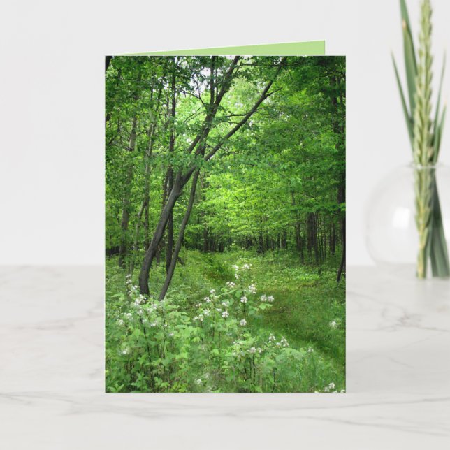 Carte Fête de la Saint Patrick : Chemin des bois (Devant)