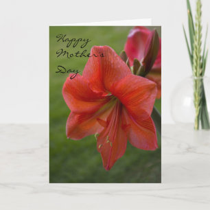 Carte Fête des mères Amaryllis