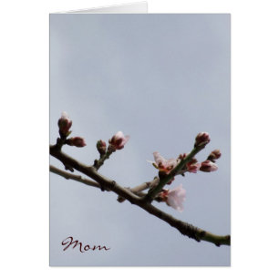 Carte Fête des Mères Blossom