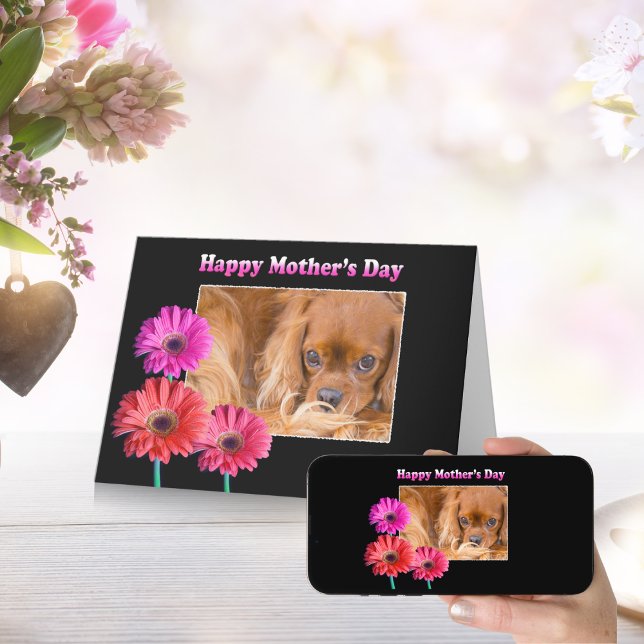 Carte Fête des mères Cavalier King Charles Daisies Card (Créateur téléchargé)